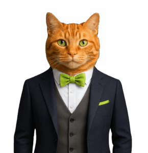 Picture of Mr Bo Jangles linking to internal page